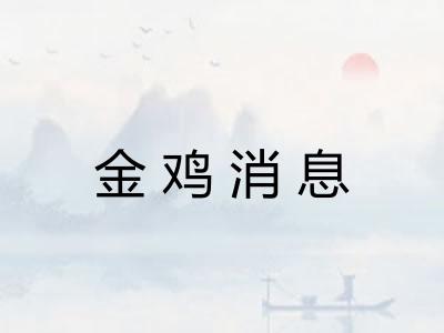 金鸡消息