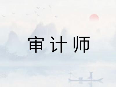 审计师