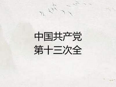 中国共产党第十三次全国代表大会