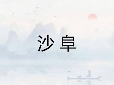 沙阜