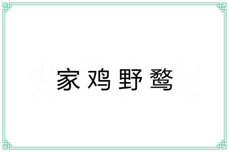 家鸡野鹜