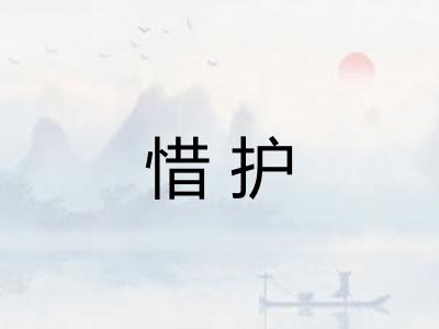 惜护