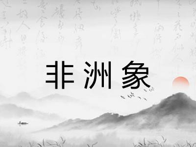 非洲象