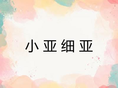 小亚细亚