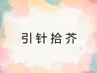 引针拾芥