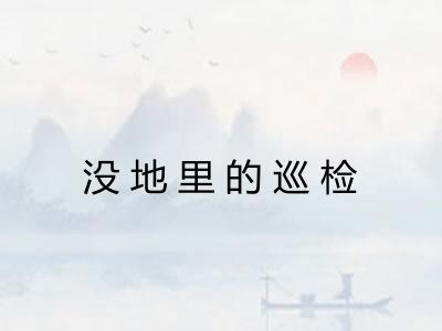 没地里的巡检