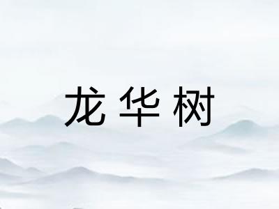 龙华树