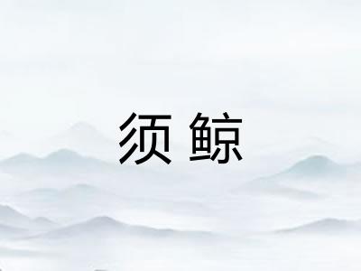 须鲸