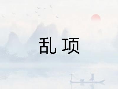 乱项