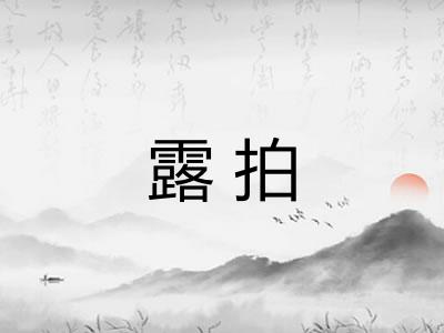 露拍