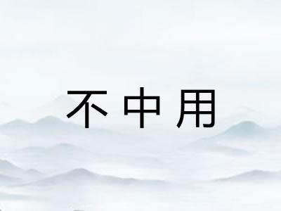 不中用