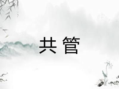 共管