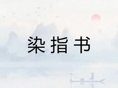 染指书