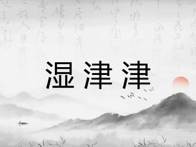 湿津津