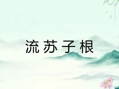 流苏子根