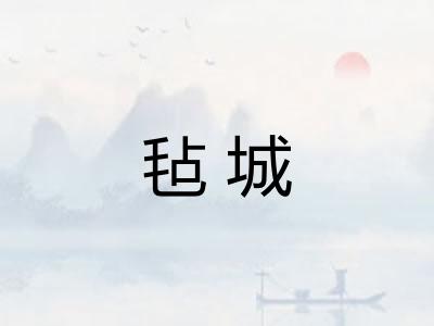 毡城