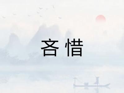 吝惜