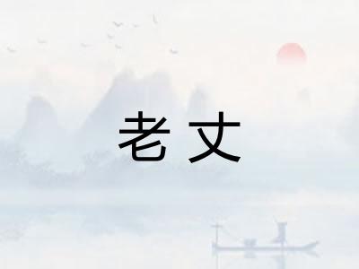 老丈