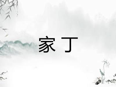 家丁