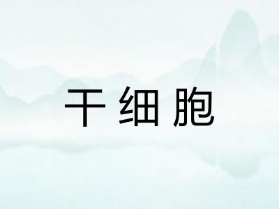 干细胞