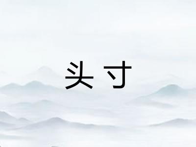 头寸