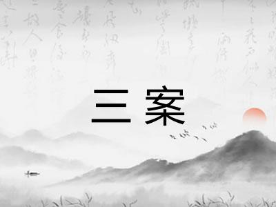 三案