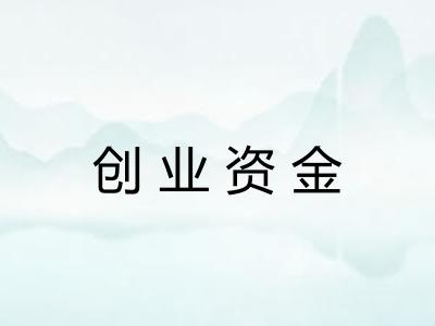 创业资金