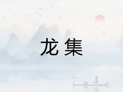 龙集