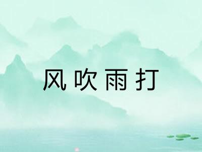 风吹雨打