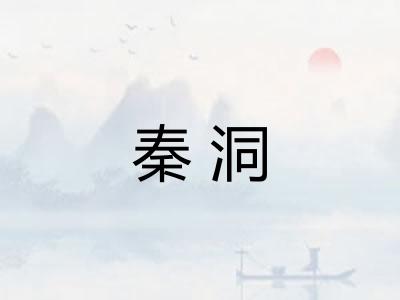 秦洞