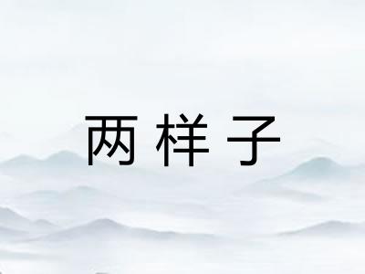 两样子