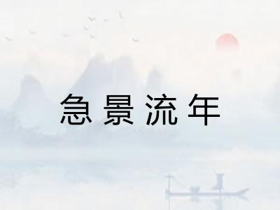 急景流年