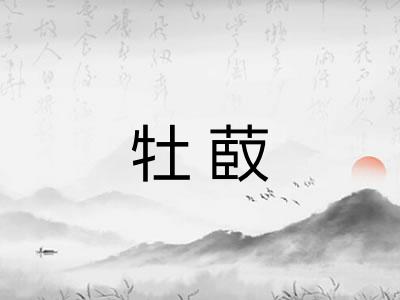 牡菣