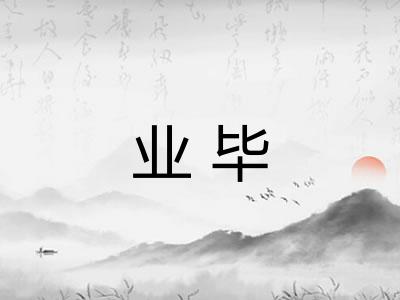 业毕