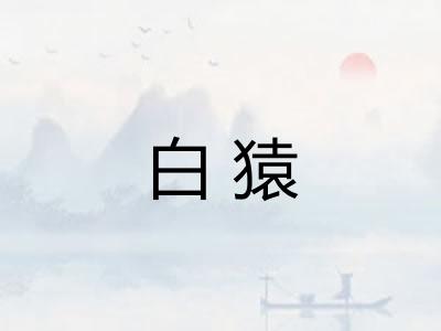 白猿