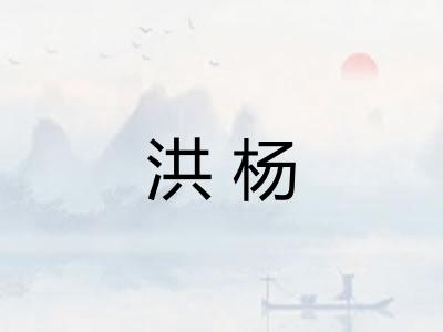 洪杨