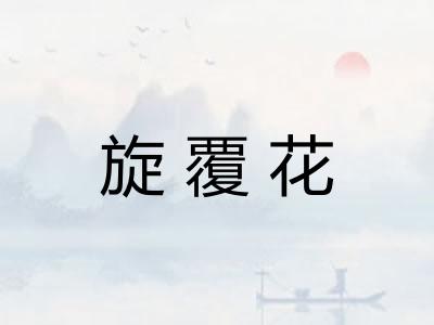 旋覆花