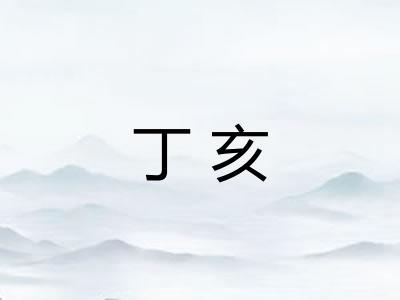 丁亥