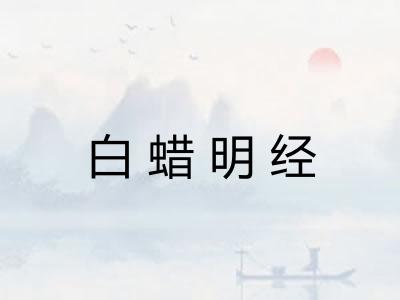 白蜡明经