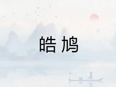 皓鸠