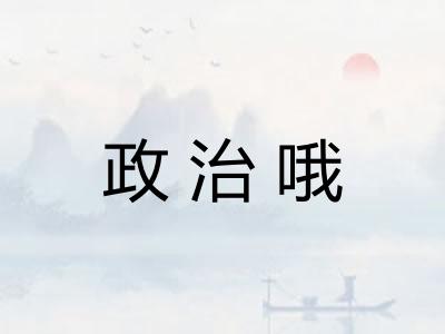 政治哦