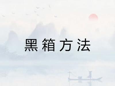 黑箱方法