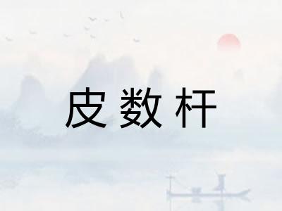 皮数杆