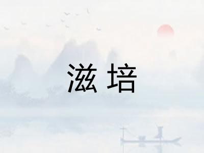 滋培