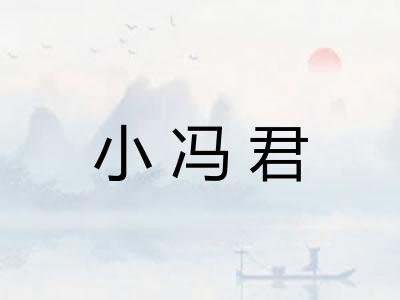 小冯君