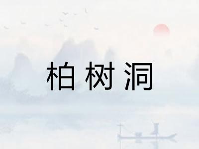 柏树洞