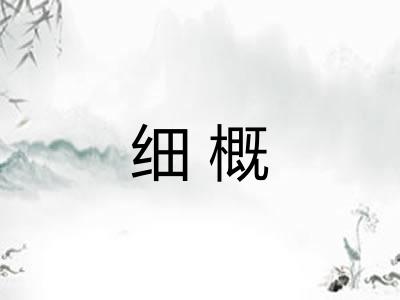 细概