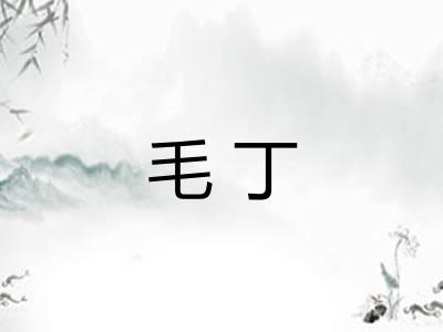 毛丁