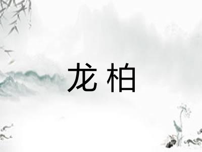 龙柏