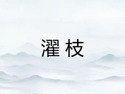 濯枝